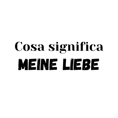 meine Liebe significato