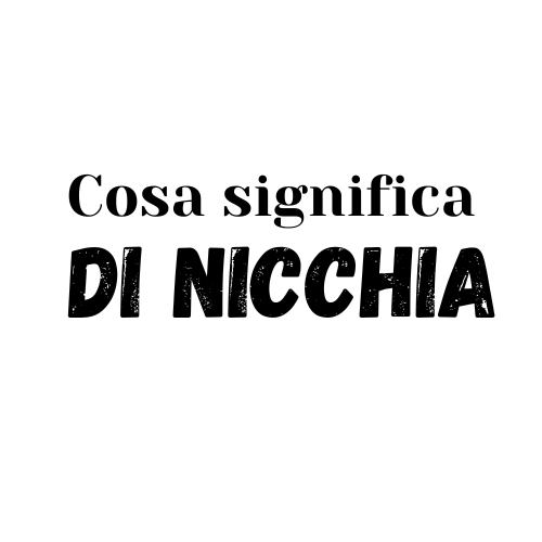 di nicchia significato