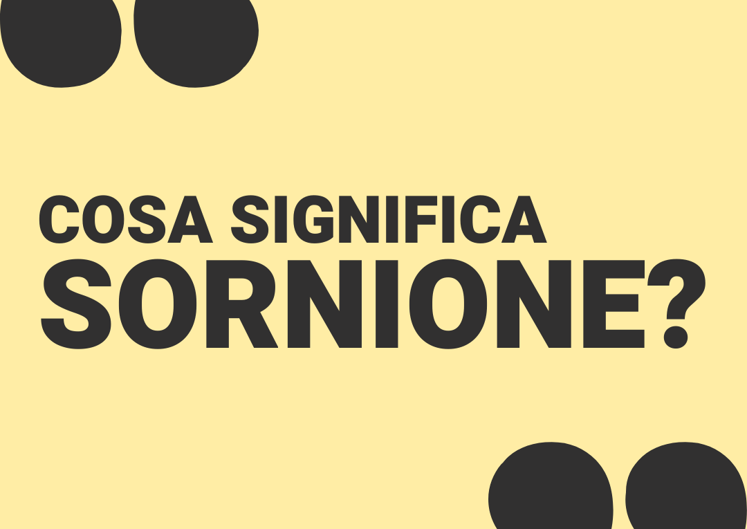 sornione significato