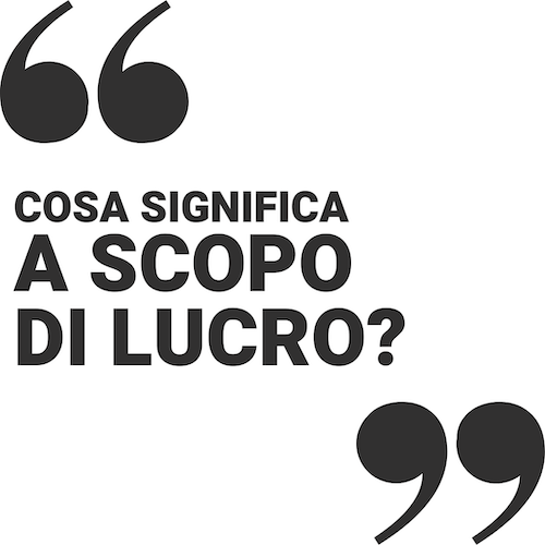 a scopo di lucro significato